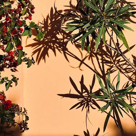 House Holiday home Tarifa